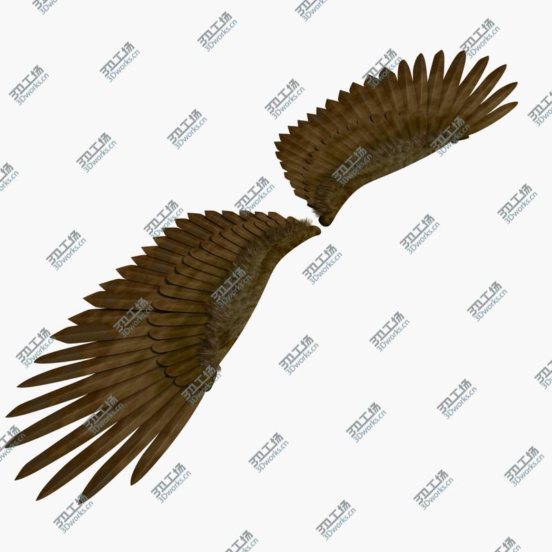 images/goods_img/2021040234/3D Wings model/4.jpg